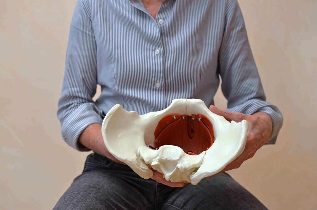 Eine Therapeutin (Frau Bernadette Born) hält ein Beckenbodenmodell in den Händen.