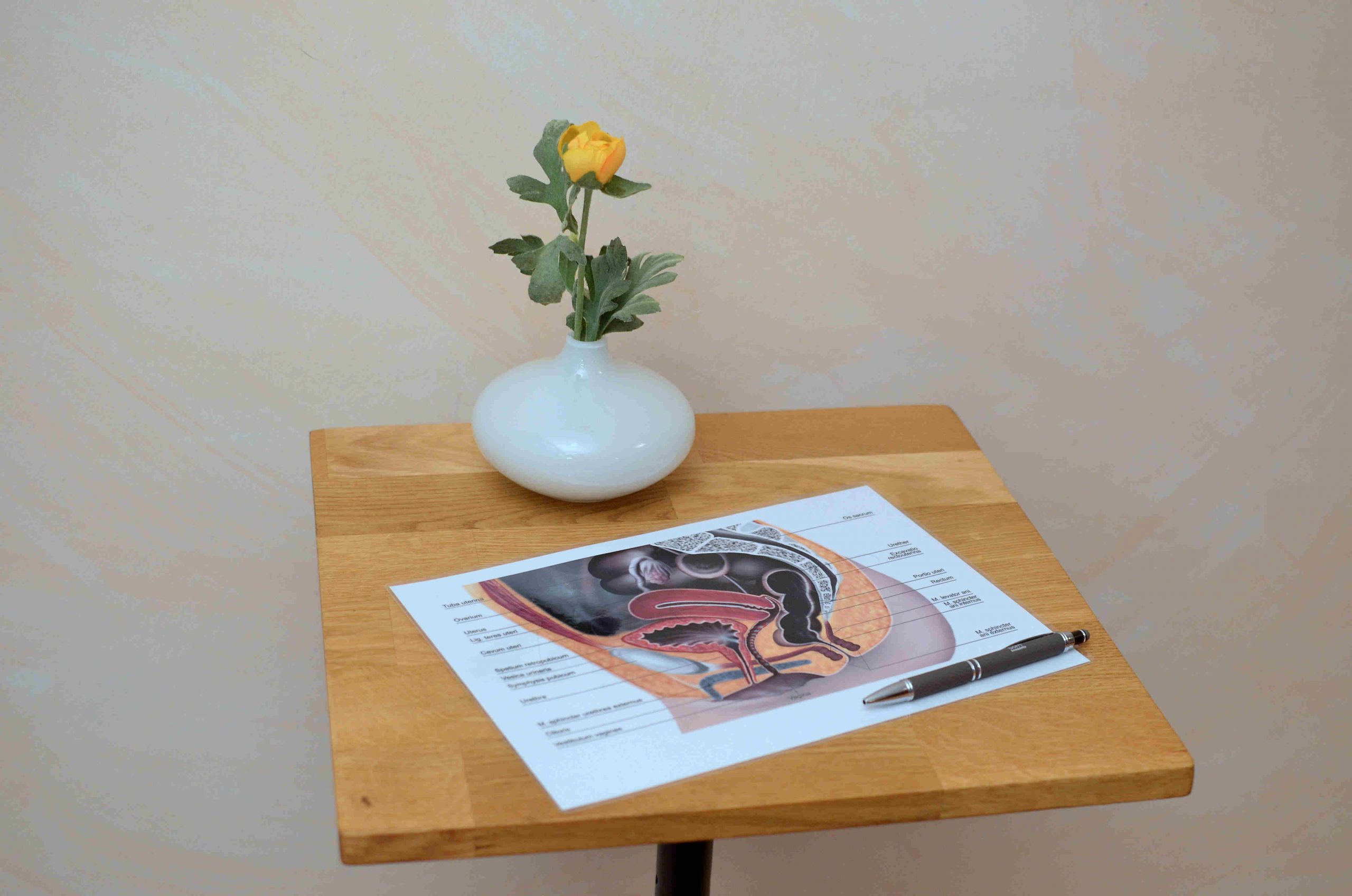 Zu sehen ist ein Tisch, auf welchem ein Schema samt Erklärungen zum Beckenboden liegt.